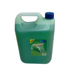 Deterdžent za suđe 5l mint